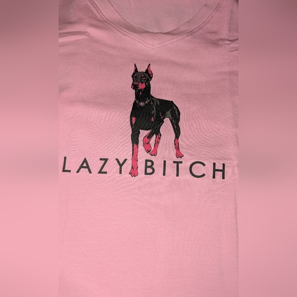 Christina Dienst LAZY LOS ANGELES V Neck T-SHIRT Size Medium Pink NIP - Picture 2 of 5